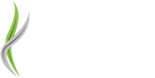 Logo Terra