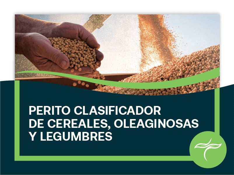 Perito Clasificador de Granos Cereales Oleaginosas Legumbres