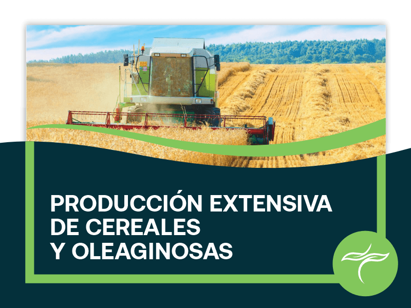 Encab Curso Produccion Extensiva 1