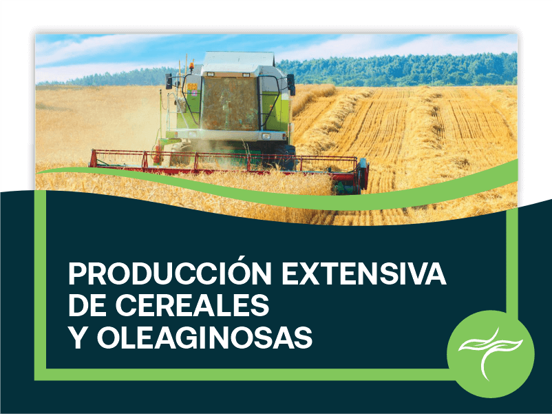 Producción Extensiva de Cereales y Oleaginosas