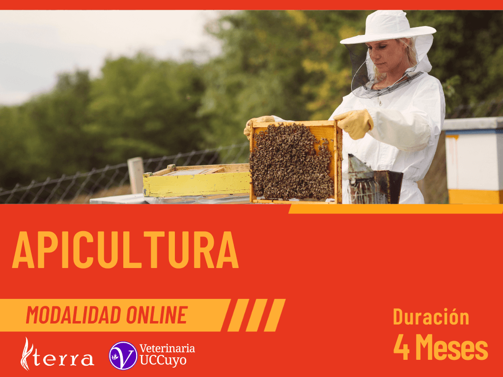 apicultura curso online