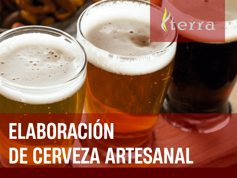 Elaboración de Cerveza Artesanal