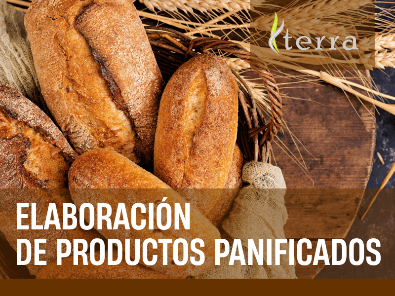 Elaboración de Productos Panificados