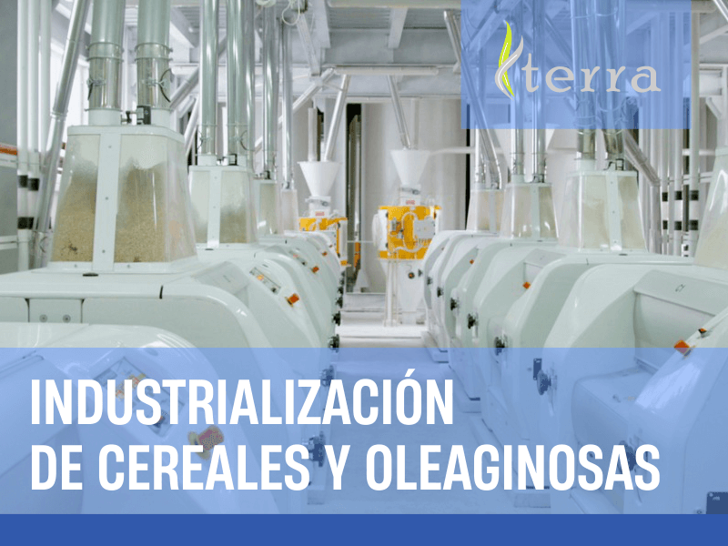 Industrialización de Cereales y Oleaginosas