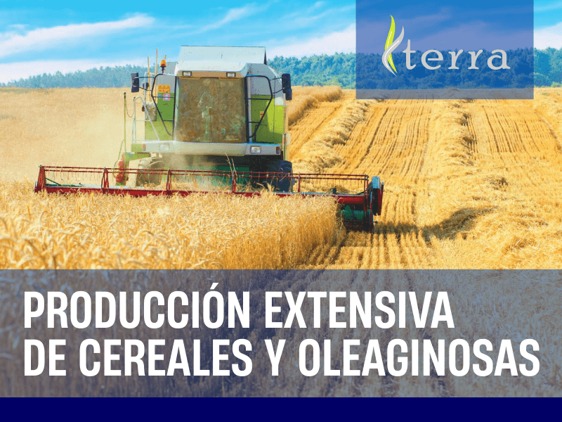 Producción Extensiva de Cereales y Oleaginosas