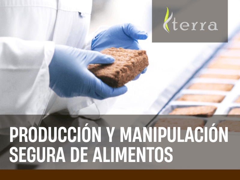 Producción y Manipulación Segura de Alimentos