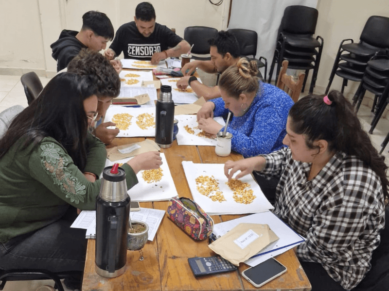 Clases de Perito en la provincia del Chaco