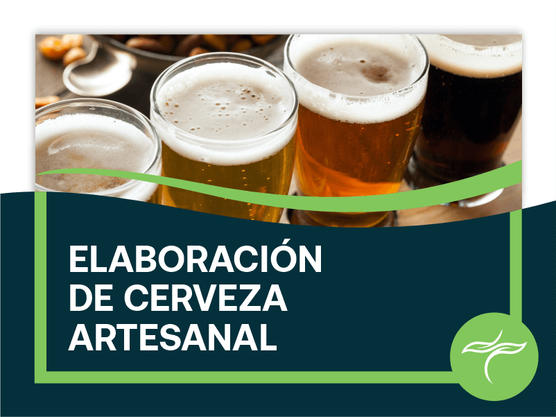 Elaboración de Cerveza Artesanal