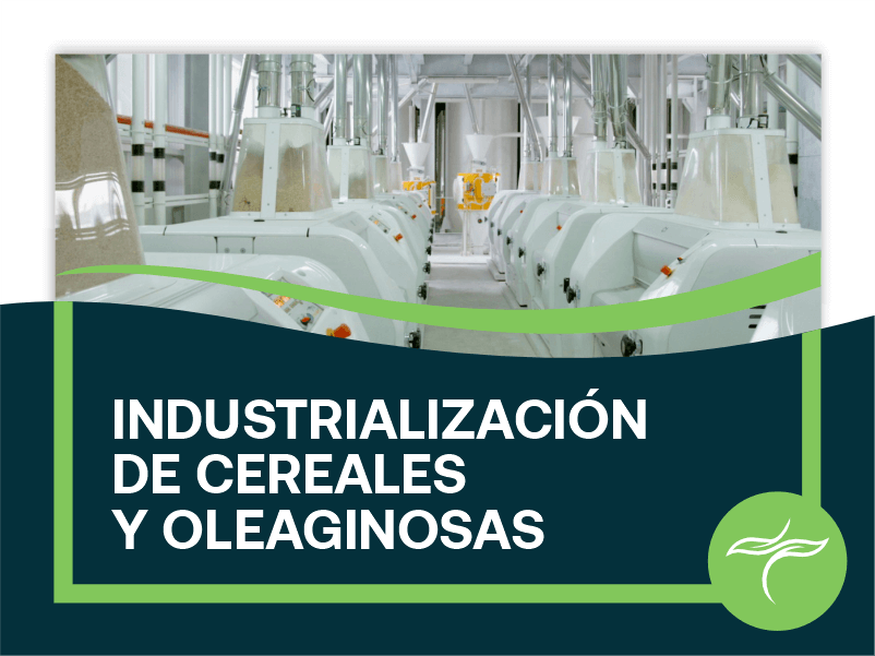Industrialización de Cereales y Oleaginosas