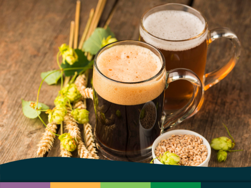 Celebra aprendiendo