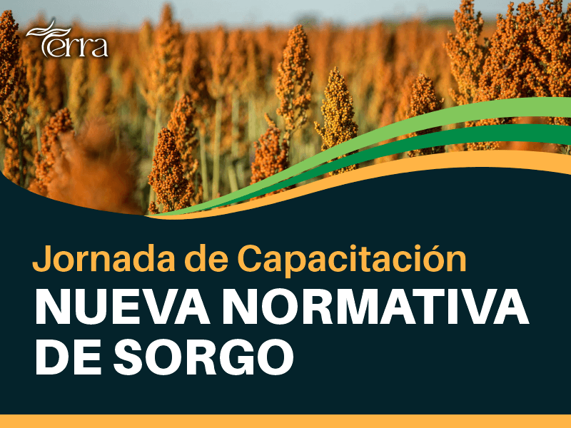 jornada de capacitacion de la nueva normativa de sorgo para peritos