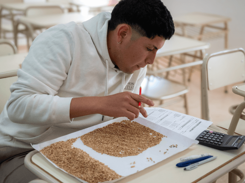 Mesas de examen de Perito Clasificador de Granos
