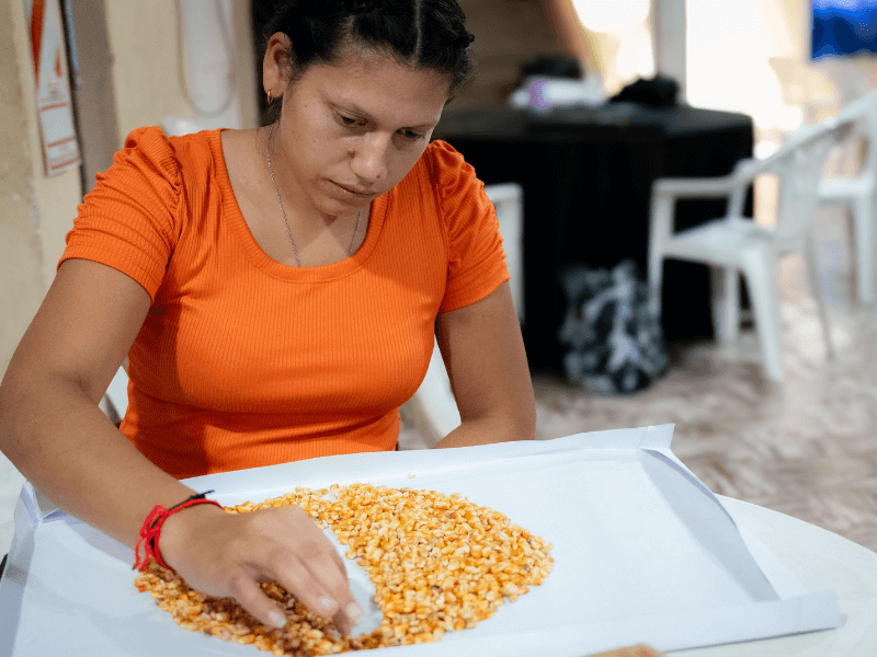 Mesas de examen de Perito Clasificador de Granos