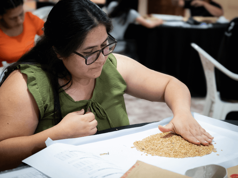 Mesas de examen de Perito Clasificador de Granos