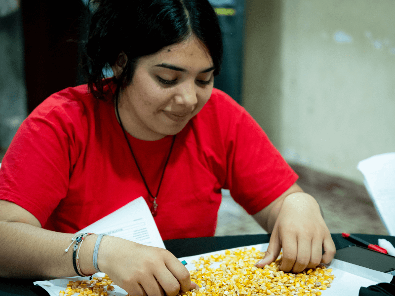Mesas de examen de Perito Clasificador de Granos
