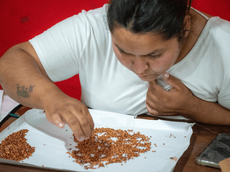 Mesas de examen de Perito Clasificador de Granos