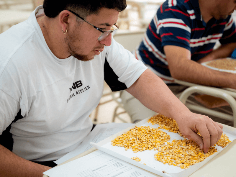 Mesas de examen de Perito Clasificador de Granos