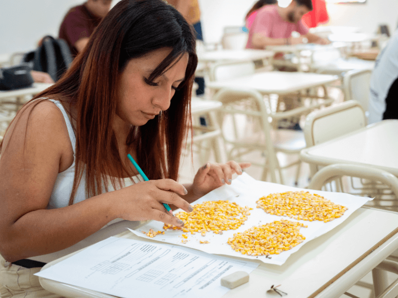 Mesas de examen de Perito Clasificador de Granos