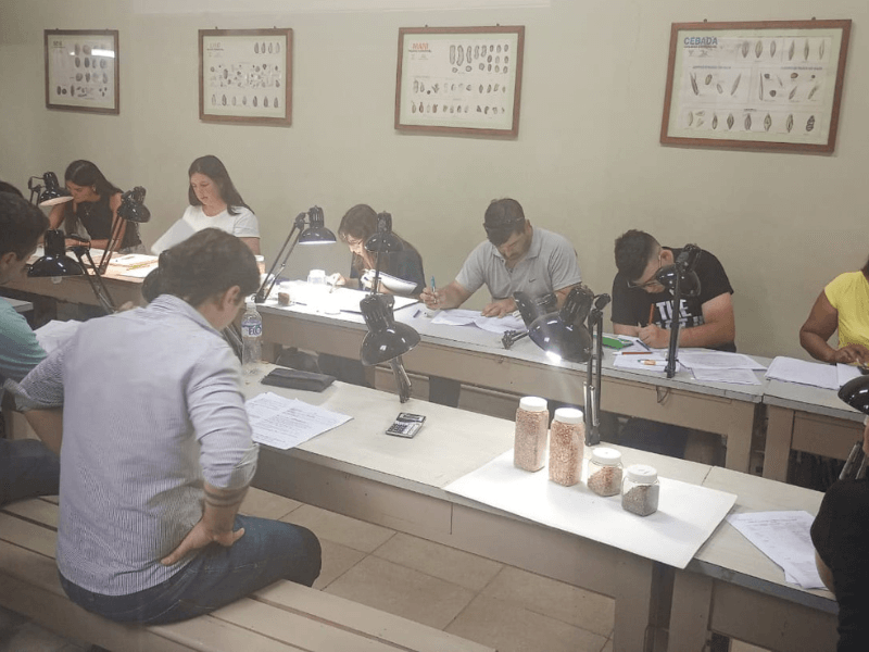 Perito Clasificador de Granos