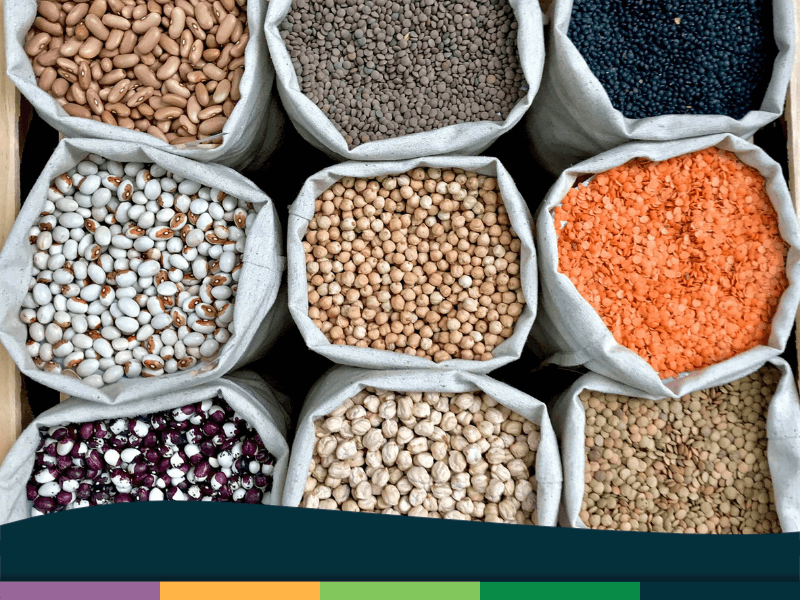Curso de Producción de Legumbres