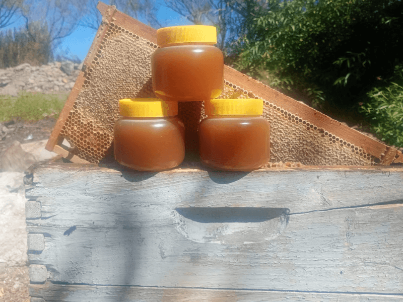 Miel de Néctar de la Vida